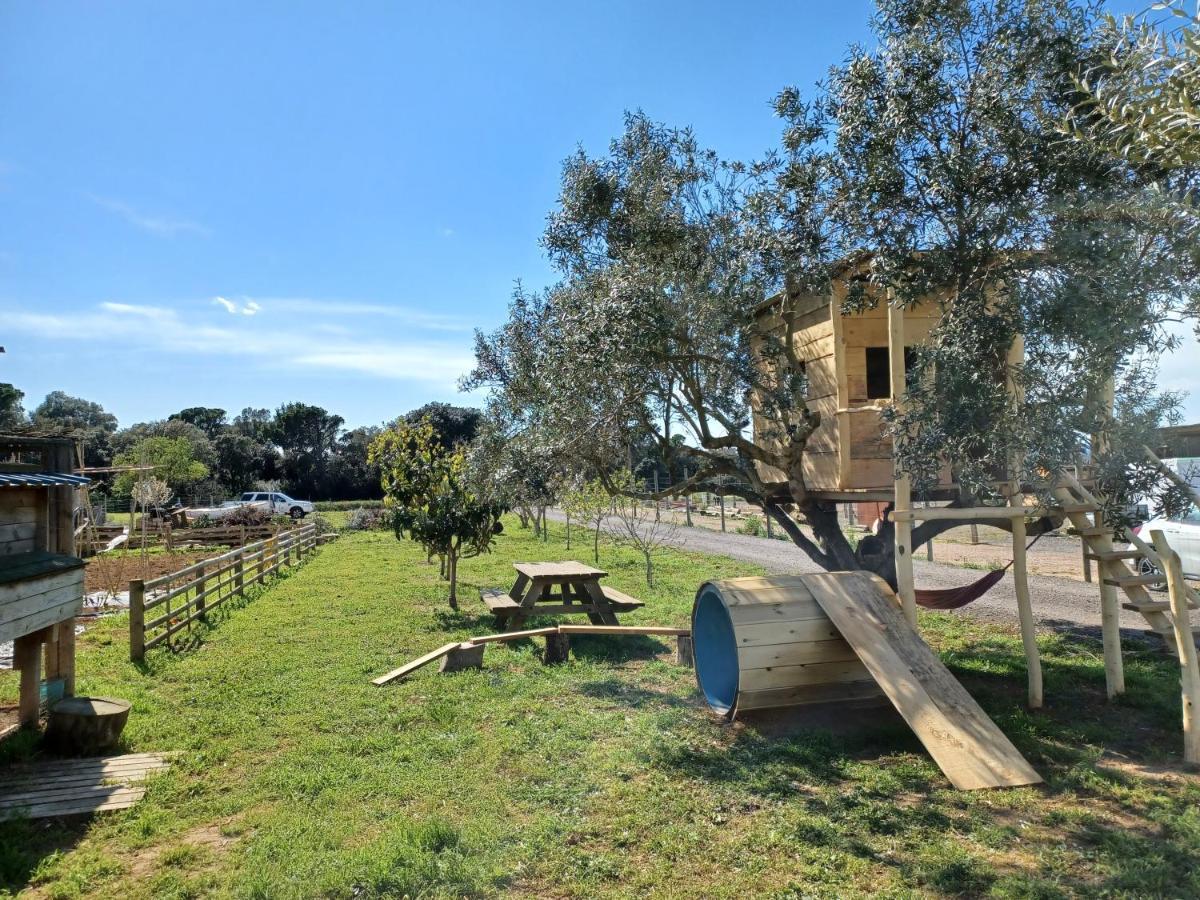 Apartamento En Casa De Campo Cerca De La Playa Pals Exteriör bild