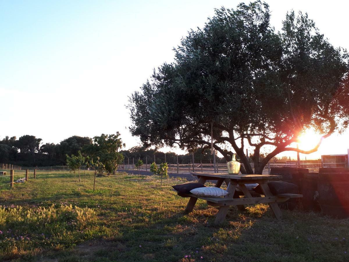 Apartamento En Casa De Campo Cerca De La Playa Pals Exteriör bild